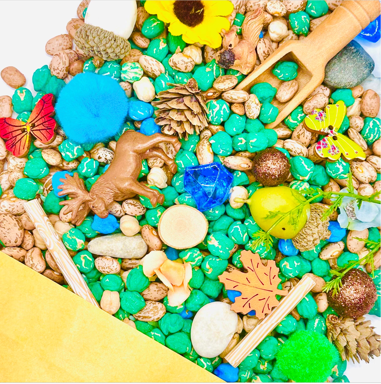Discovery Pack--A Bin in a Bag! 15 Themes to Choose From Activity Toys Poppy and Pine Creations