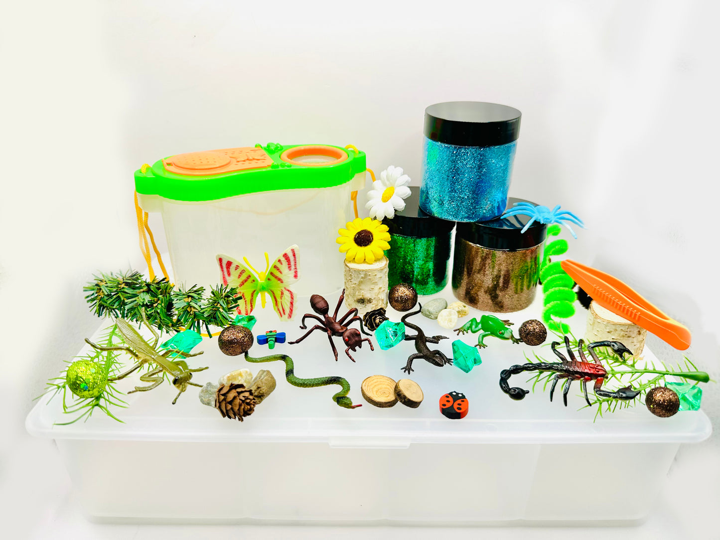 Deluxe Backyard Bugs Playdough Sensory Kit Activity Toys Poppy and Pine Creations