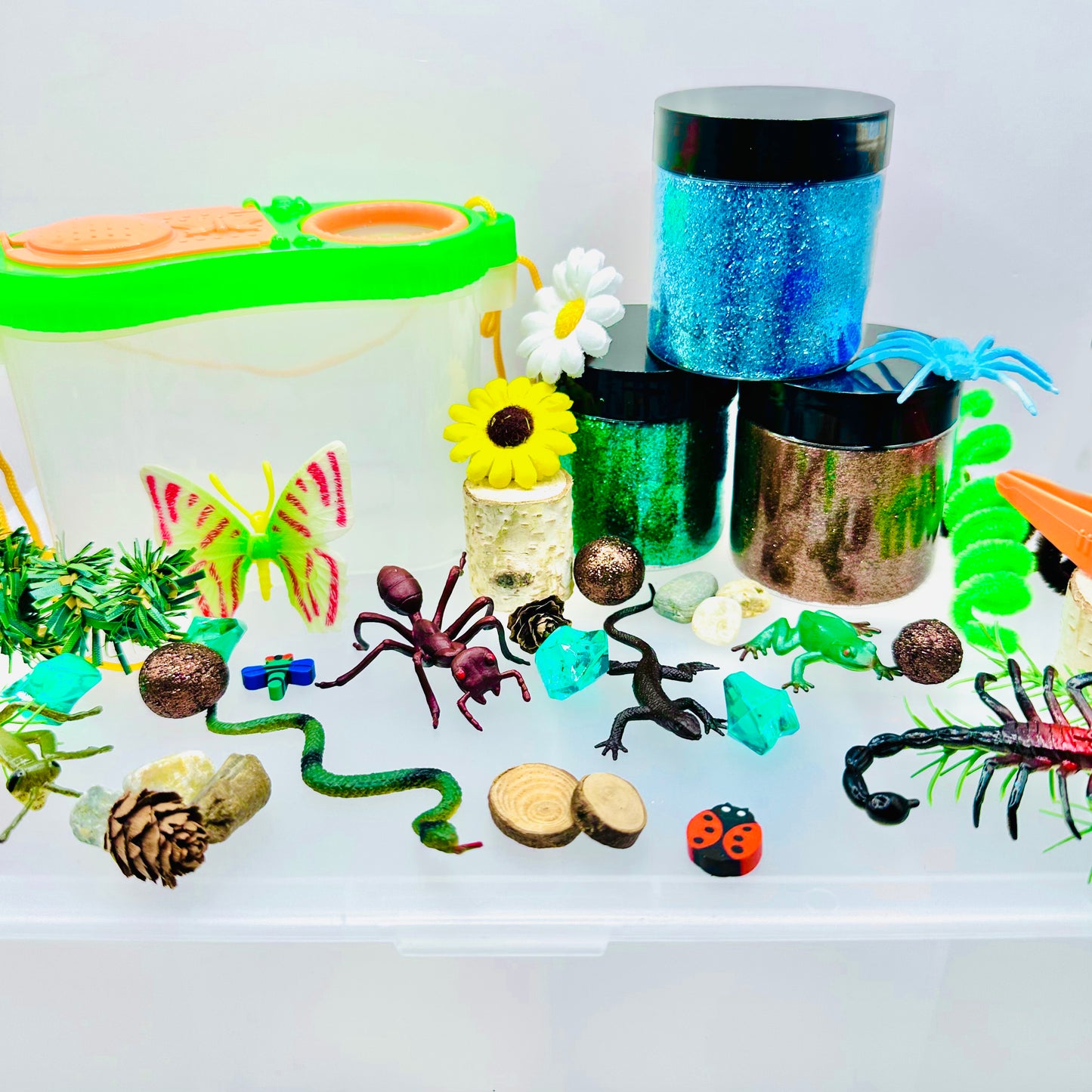 Deluxe Backyard Bugs Playdough Sensory Kit Activity Toys Poppy and Pine Creations