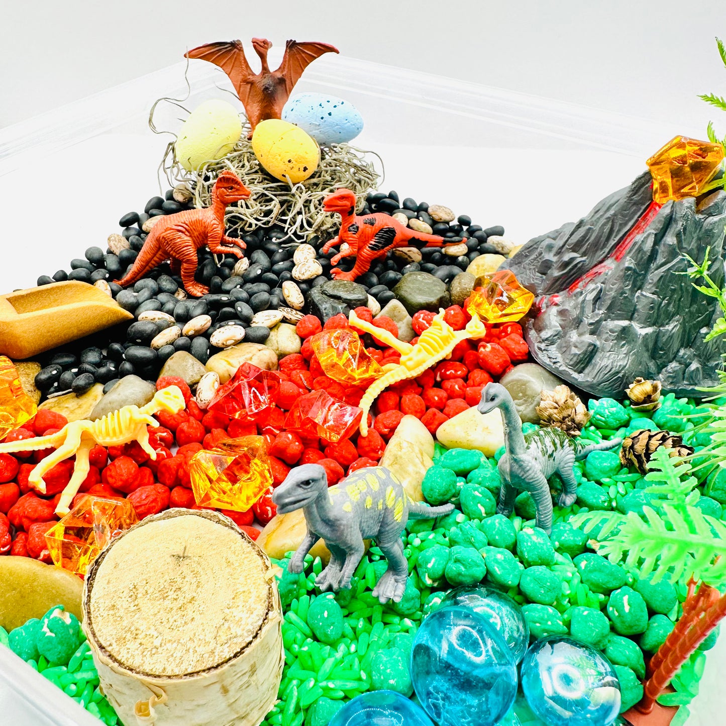 Dinosaur Sensory Bin Activity Toys Poppy and Pine Creations