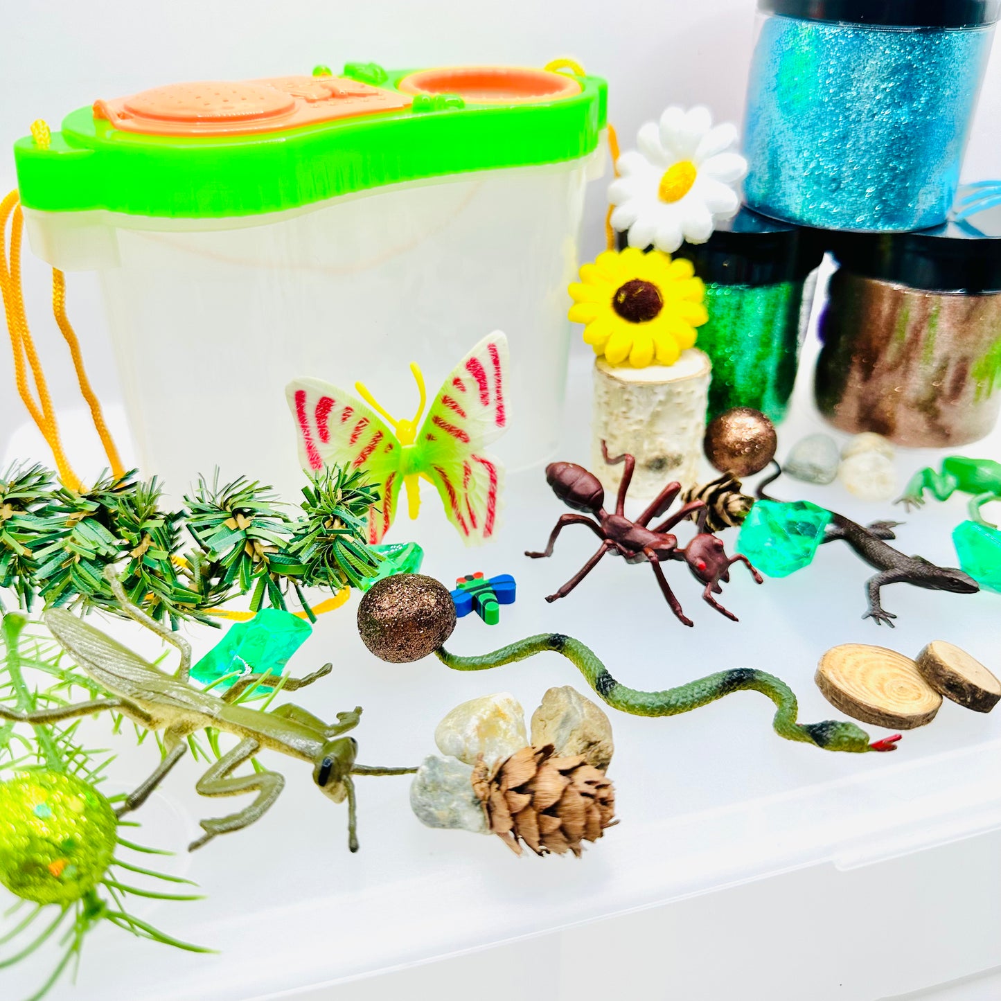 Deluxe Backyard Bugs Playdough Sensory Kit Activity Toys Poppy and Pine Creations