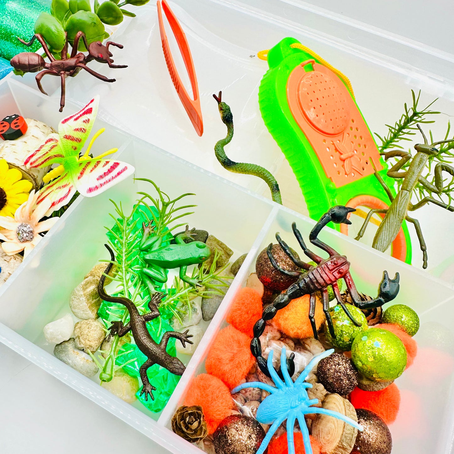 Deluxe Backyard Bugs Playdough Sensory Kit Activity Toys Poppy and Pine Creations