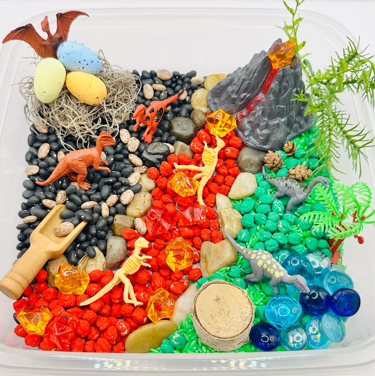 Dinosaur Sensory Bin Activity Toys Poppy and Pine Creations