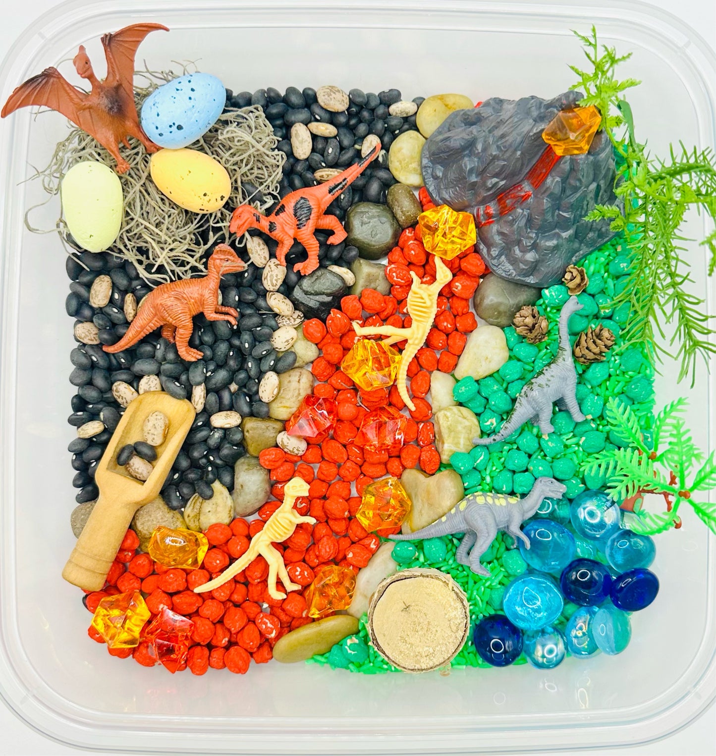 Dinosaur Sensory Bin Activity Toys Poppy and Pine Creations