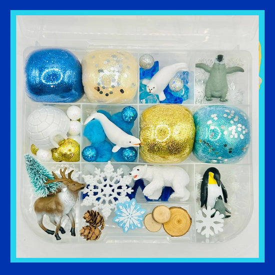 Arctic Playdough Sensory Kit Activity Toys Poppy and Pine Creations   