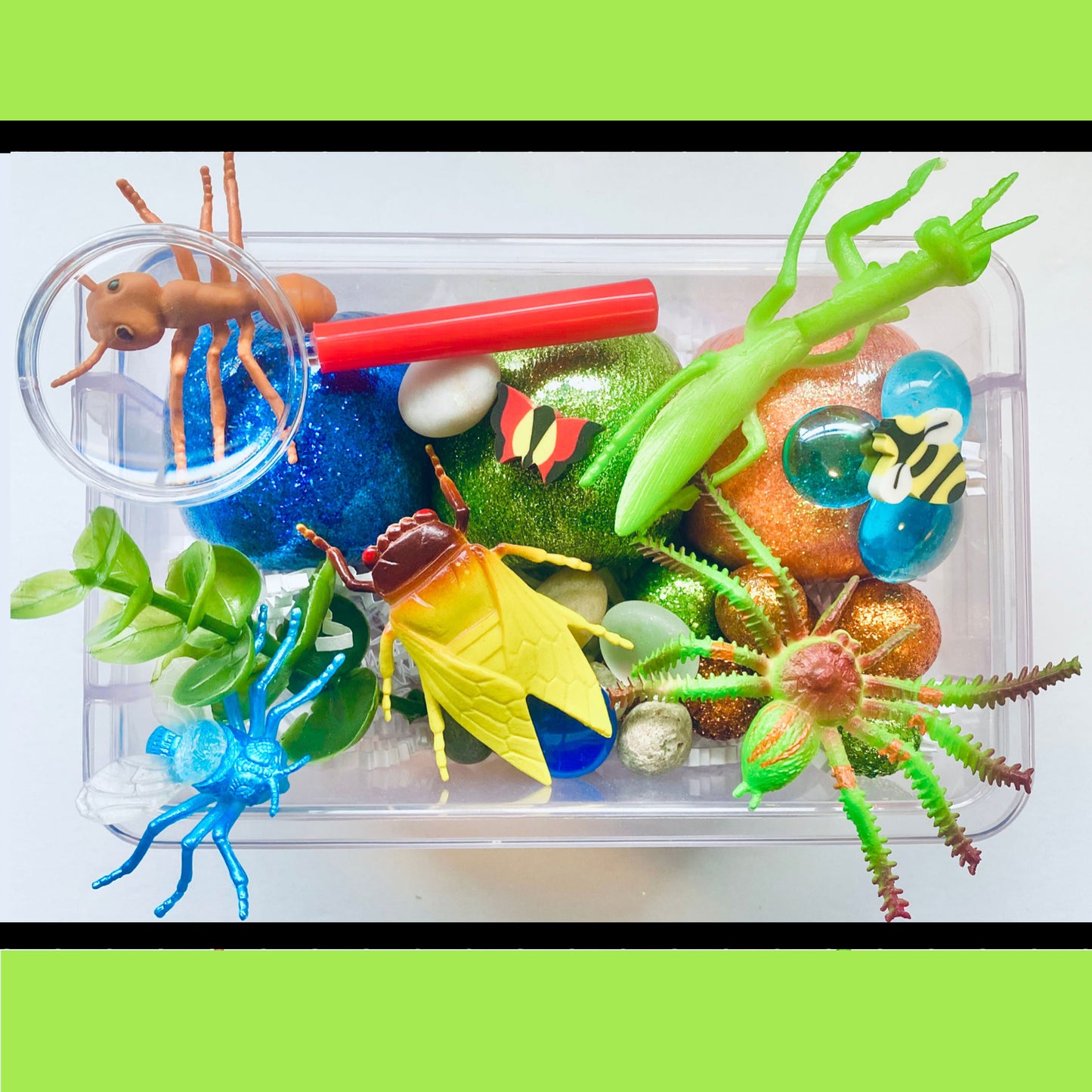 Bugs! Playdough Sensory Box Activity Toys Poppy and Pine Creations   