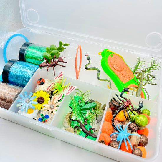 Deluxe Backyard Bugs Playdough Sensory Kit Activity Toys Poppy and Pine Creations   