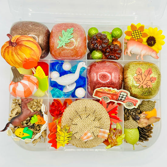 Load image into Gallery viewer, Fall Harvest Playdough Sensory Kit Activity Toys Poppy and Pine Creations   
