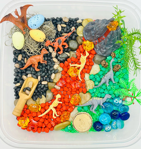 Load image into Gallery viewer, Dinosaur Sensory Bin Activity Toys Poppy and Pine Creations   
