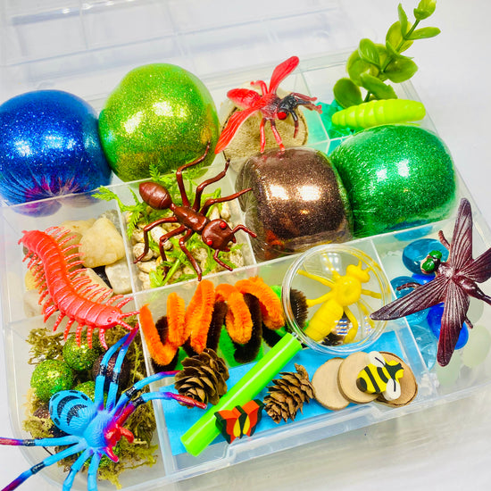 Bugs! Playdough Sensory Kit Activity Toys Poppy and Pine Creations   