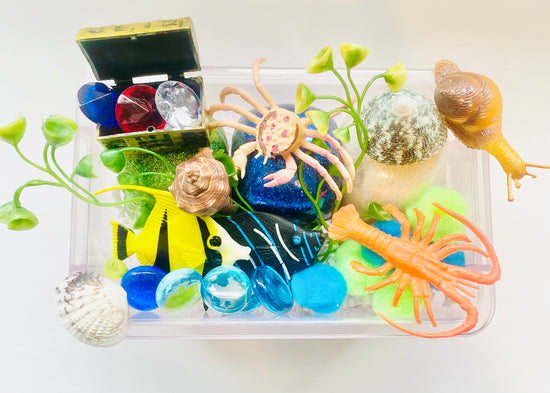 Under the Sea Playdough Sensory Box Activity Toys Poppy and Pine Creations   